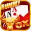 rummy culture game logo